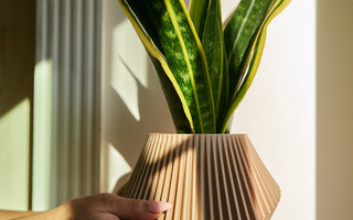 A cedarwood oil passive diffuser planter by Woodland Pulse. This is a unique planter in beige held near a windowsill.