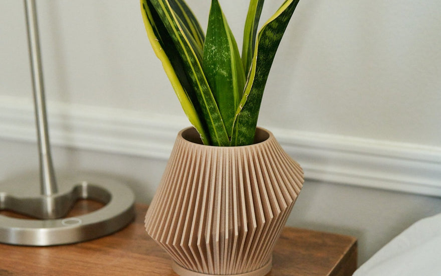Bring Your Living Room to Life: Decorating with Unique Plant Pots and Plants - Woodland Pulse