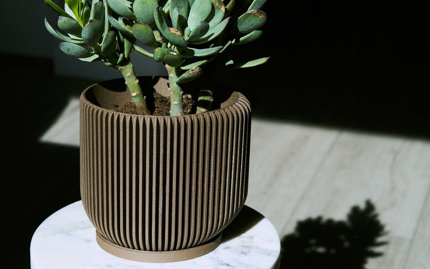 How to Find the Best Unique Flower Pots: A Comprehensive Guide - Woodland Pulse
