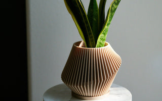 Stylish and Sustainable: Discover Woodland Pulse' Unique Flower Pots - Woodland Pulse