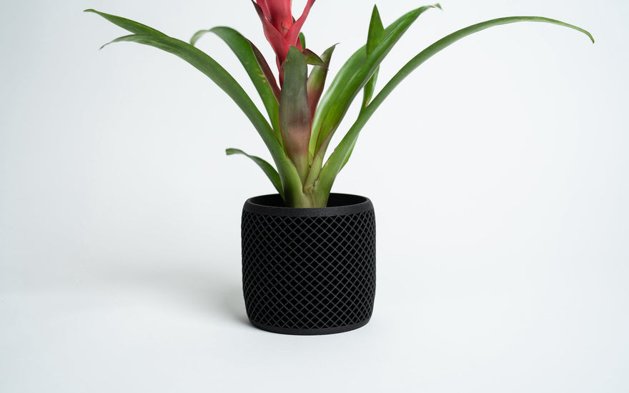 A photo of a black planter / geometric planter by Woodland Pulse with a green and pink plant inside. 