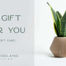 Woodland Pulse E-Gift Card - Give the Gift of Sustainable Style Woodland Pulse Modern Planters Unique planters Modern Vases Unique Vases Modern Planter Unique planter