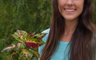 Claudia Grimm - Founder of Zen Plant Care & Maintenance in San Diego 