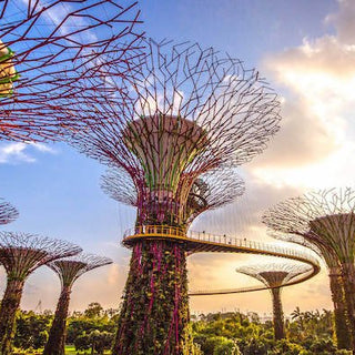 Best biophilic architecture & design examples.