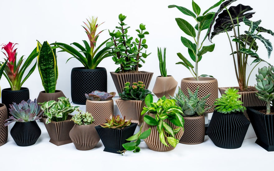 Where to Buy Plant Pots - Woodland Pulse
