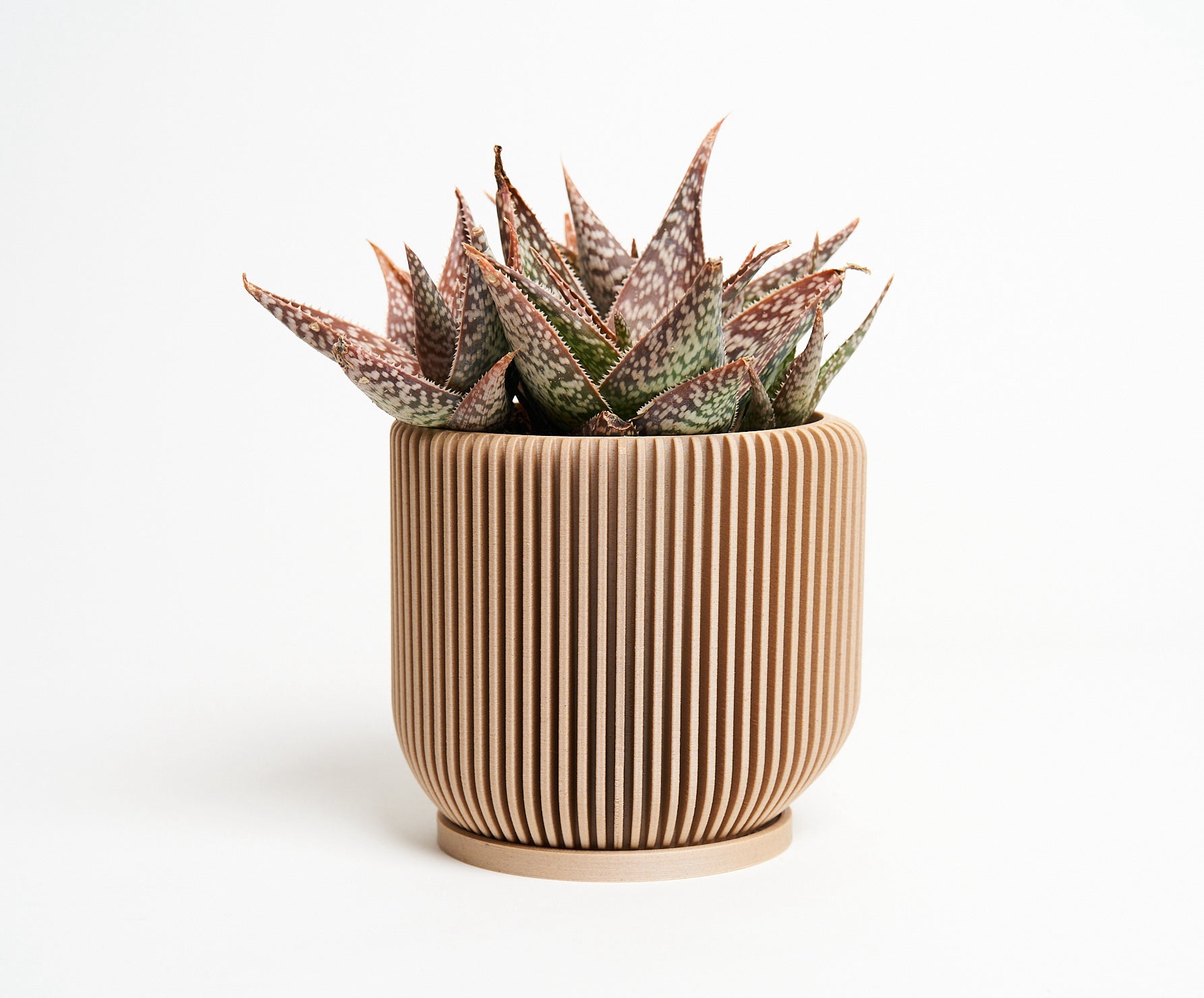 Where to Buy Plant Pots: The Ultimate Guide to Finding the Perfect Pot for Your Plants - Woodland Pulse