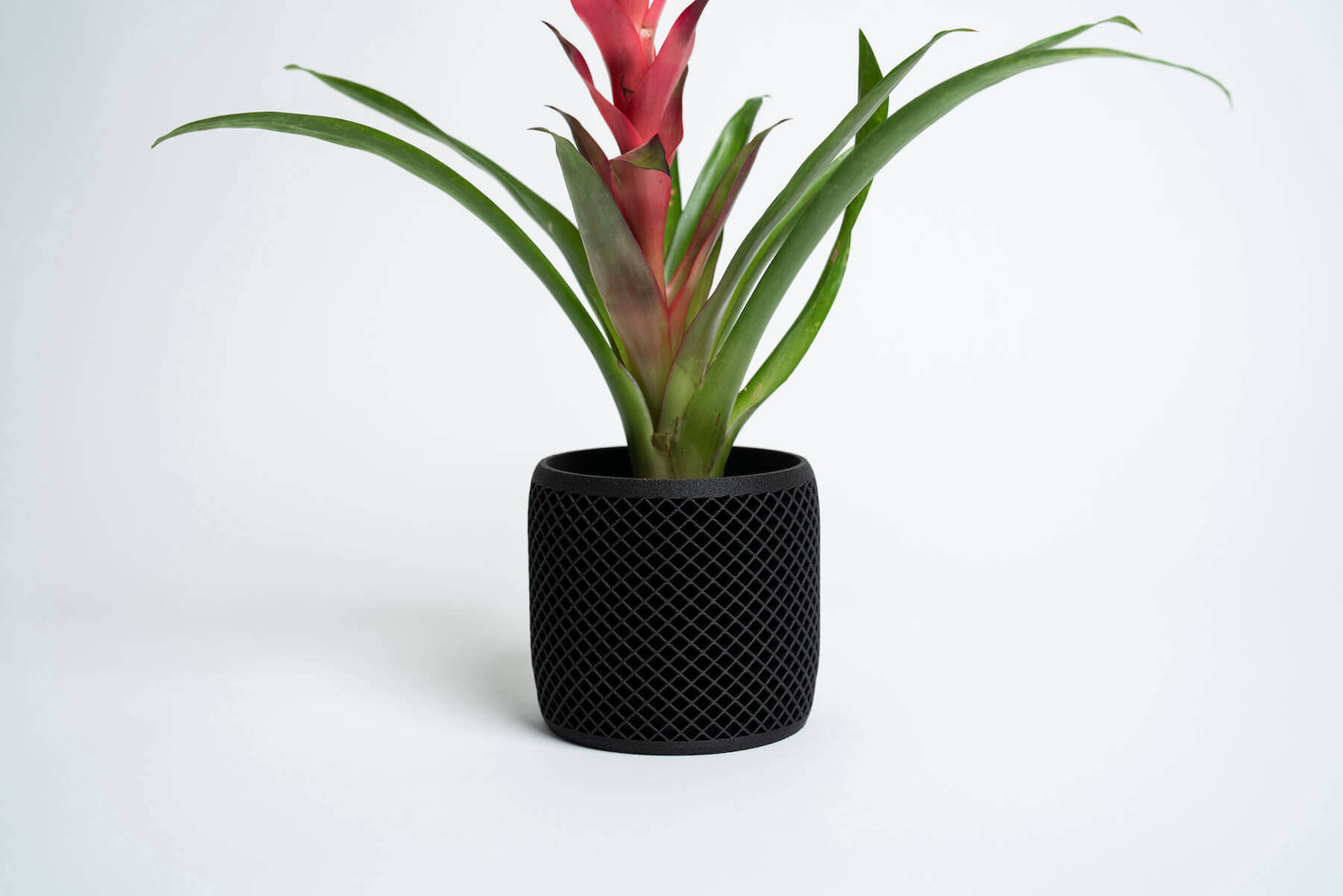 VISION geometric black planter pot with a red stalk.