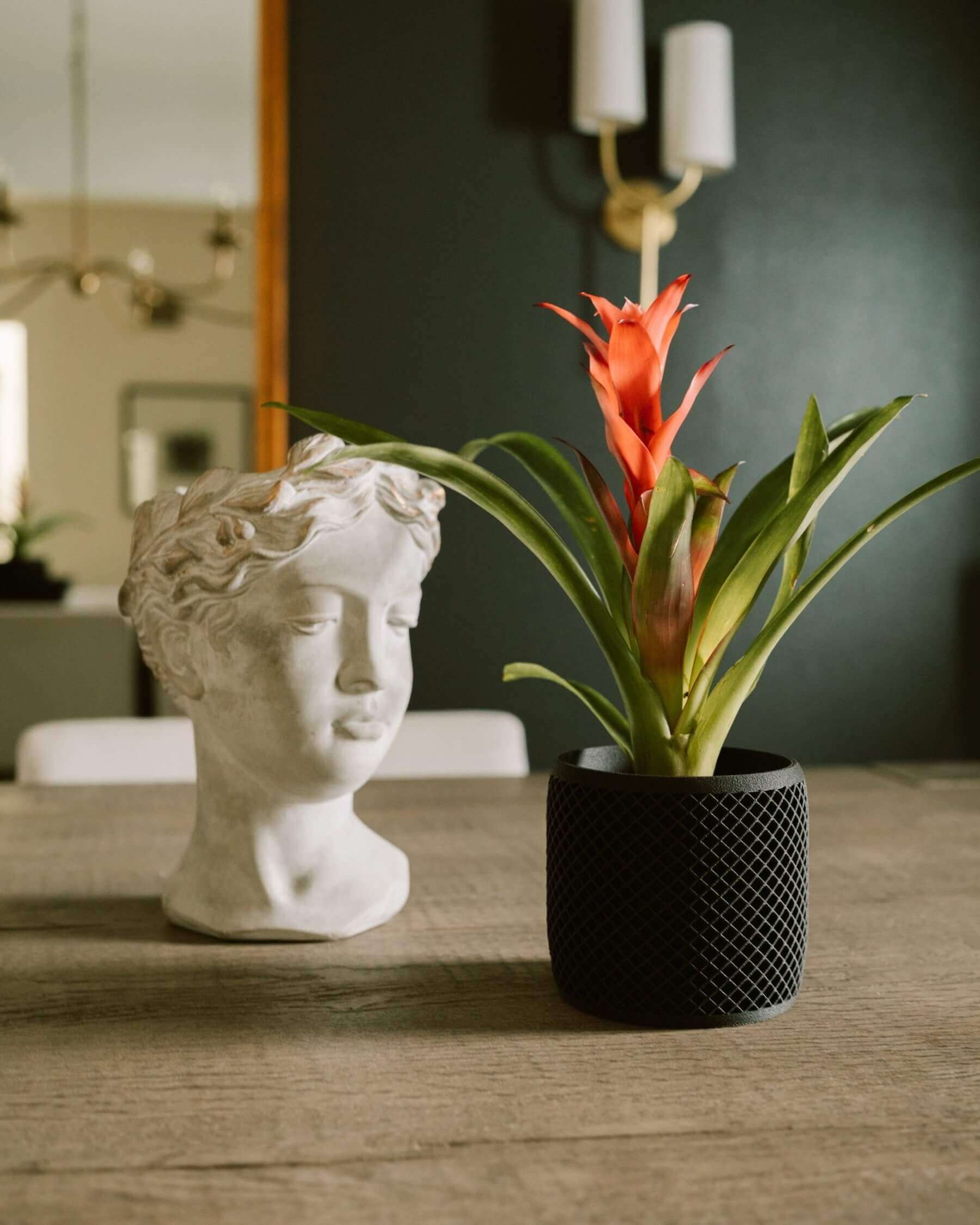 VISION modern black planter by Woodland Pulse. It is near a greek head statue on an elegant table.