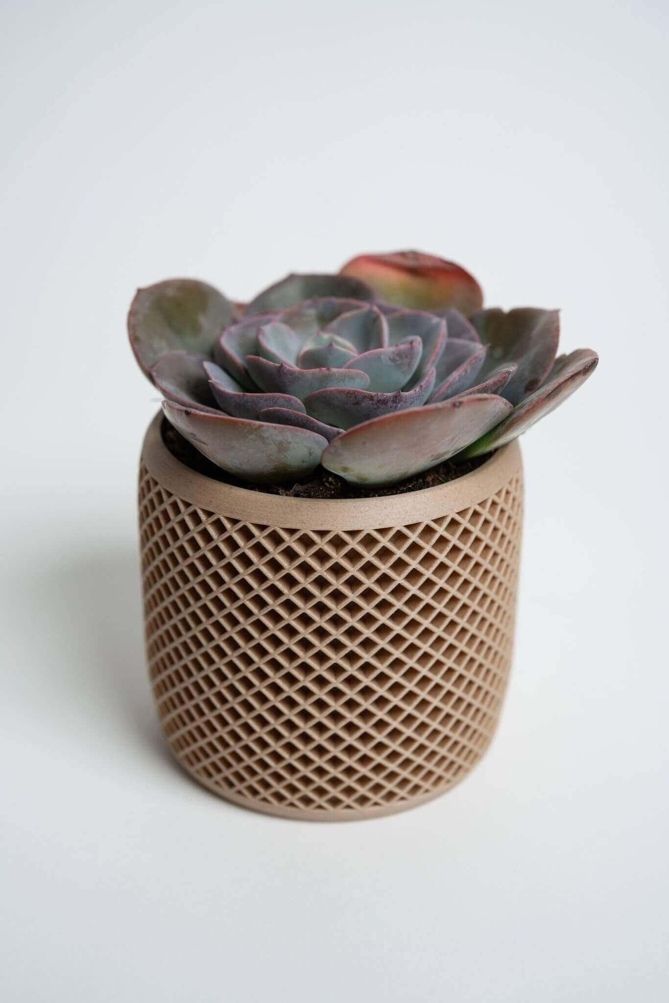 Vision geometric plant pot with succulent.