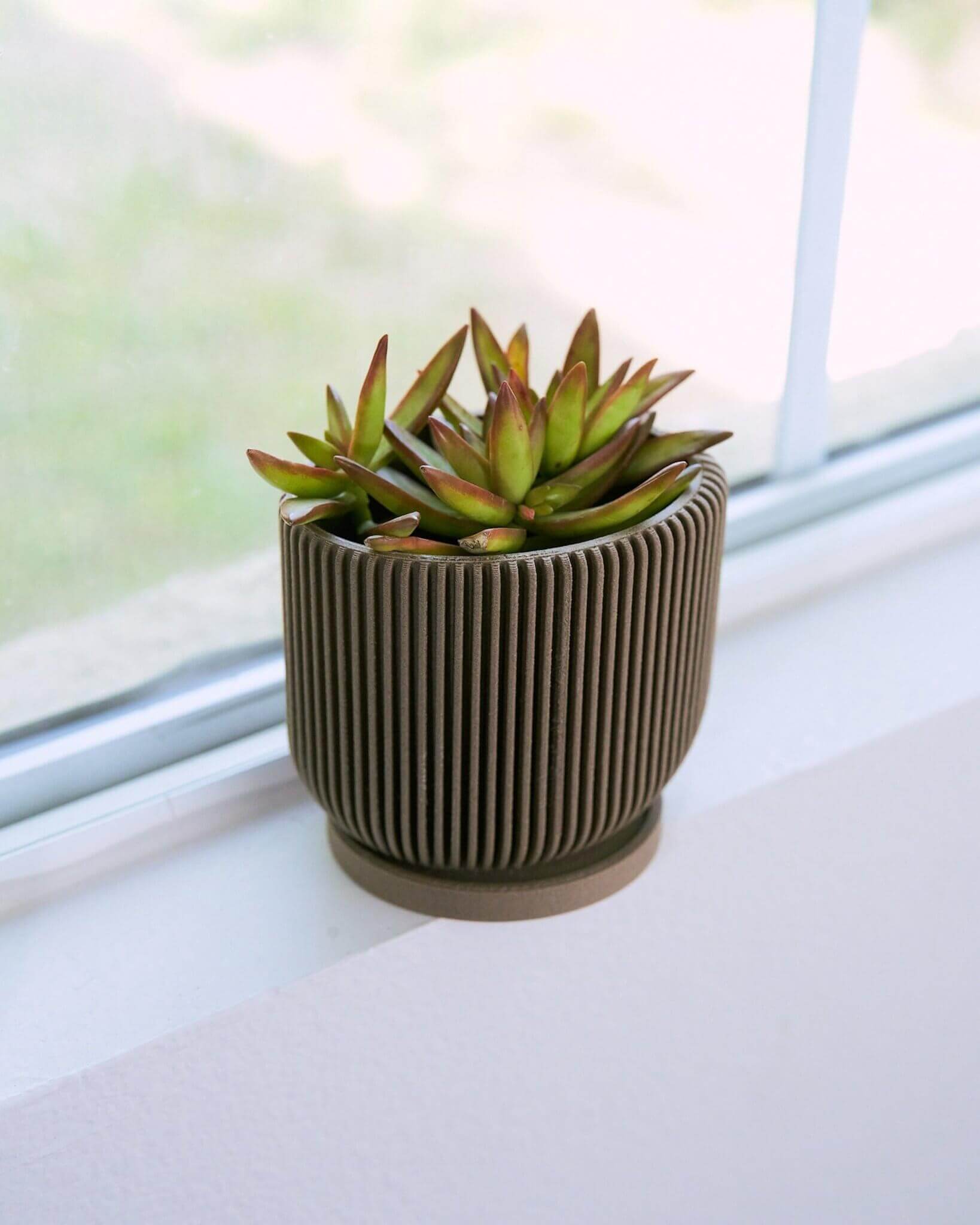 Brown cute succulent pot IONIC by Woodland Pulse.
