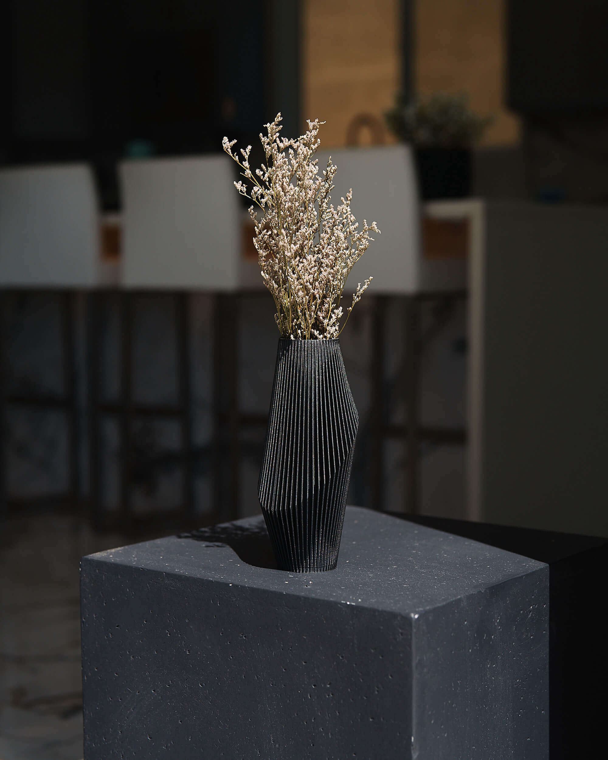 Black Vase with pampas grass in sunlight. NOVA by Woodland Pulse.