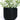 IONIC black modern flower pot by Woodland Pulse.