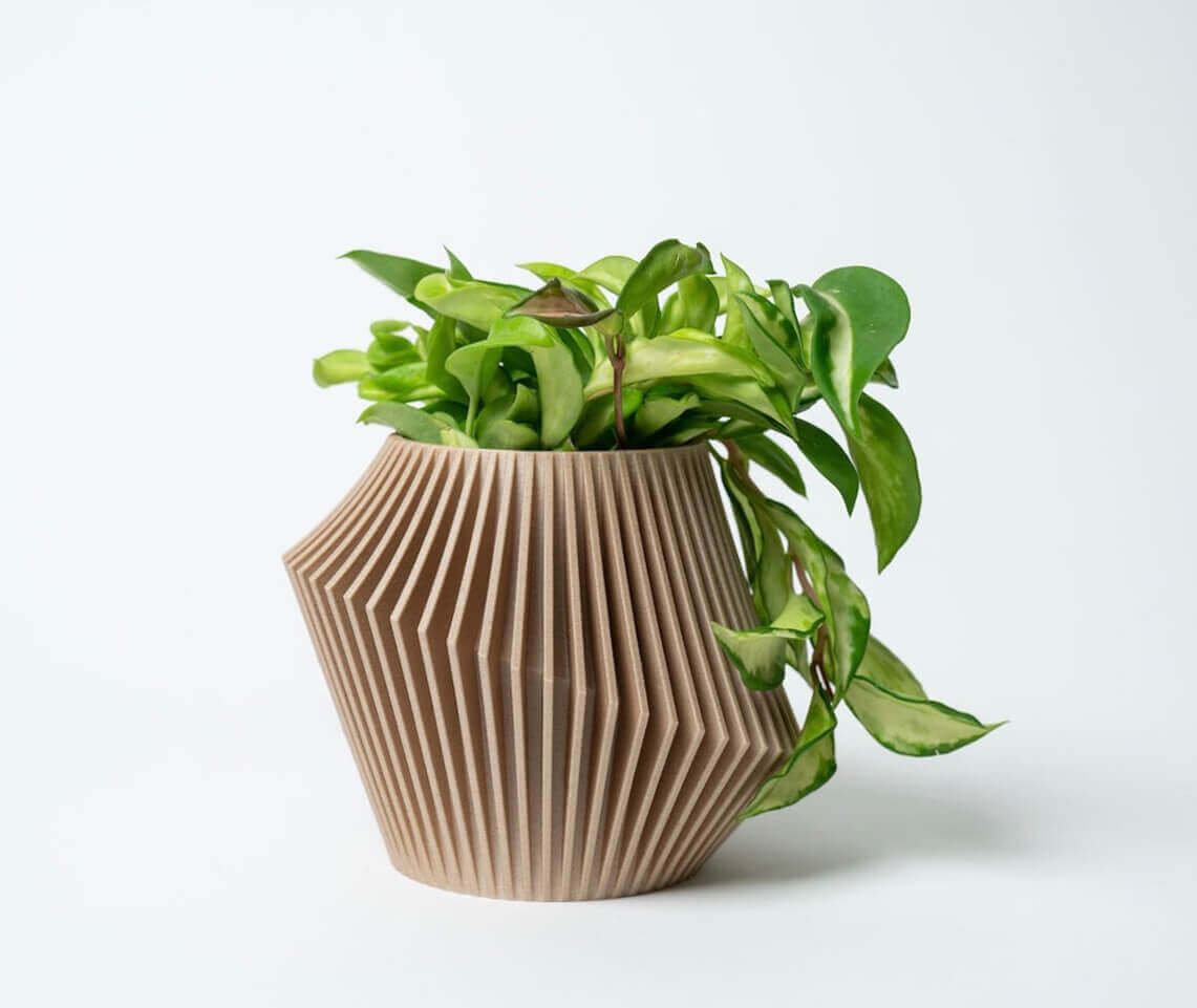 A unique planter & passive diffuser by Woodland Pulse. This is a beige planter & diffuser with a hoya.