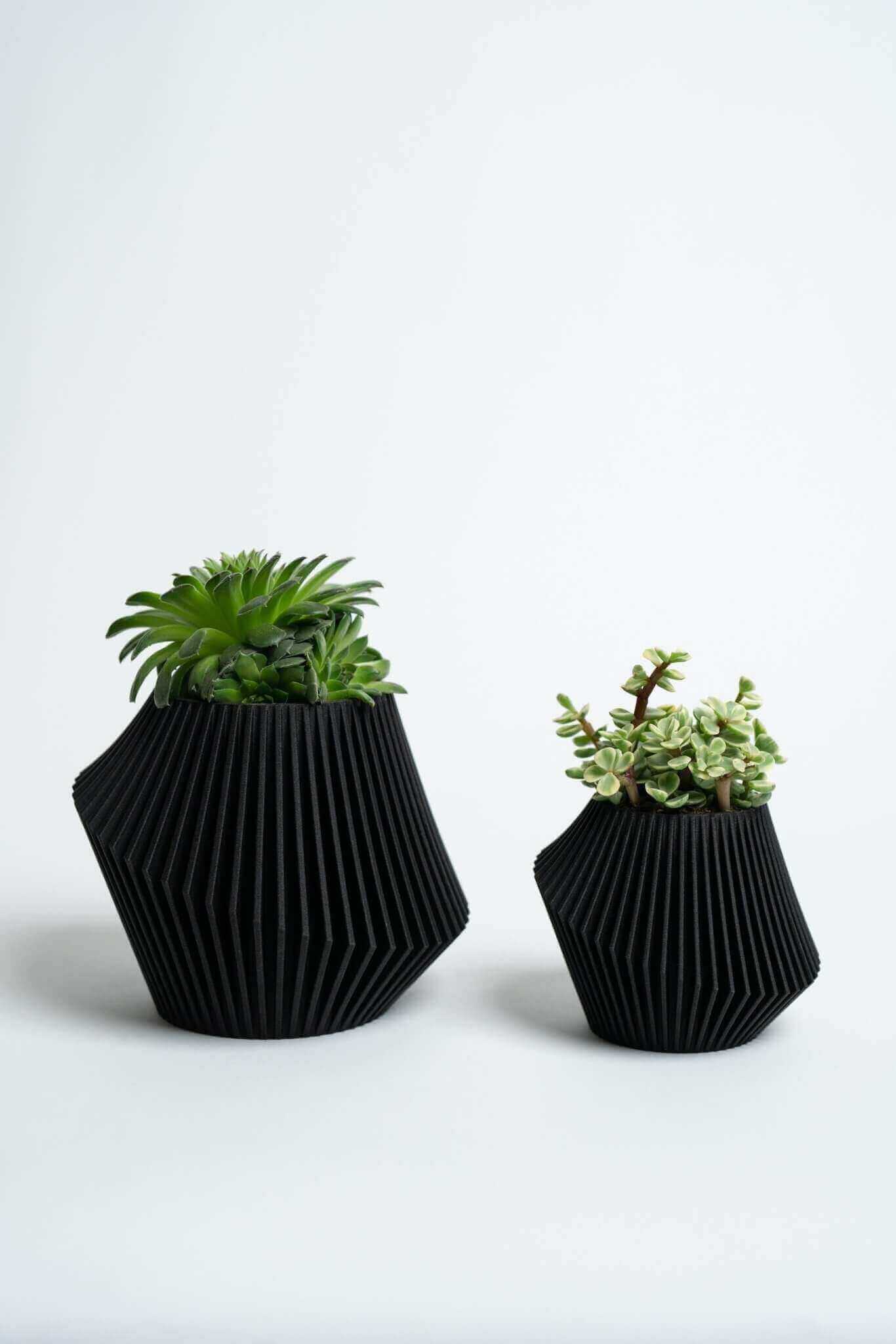 Black Flower Pot | Black Modern Planters by Woodland Pulse. Two pots for planting succulents with green succulents inside.