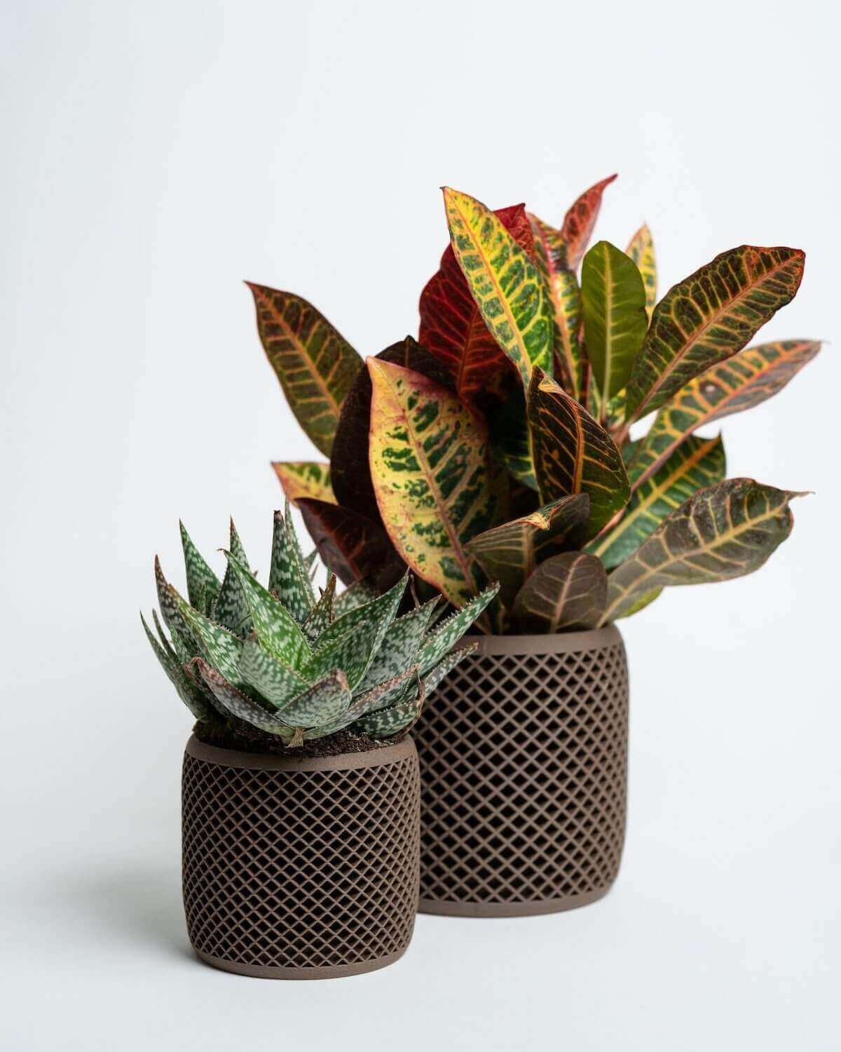 Modern planters | Unique Planters | Decor Planters from Woodland Pulse. Two brown pots for planting succulents.