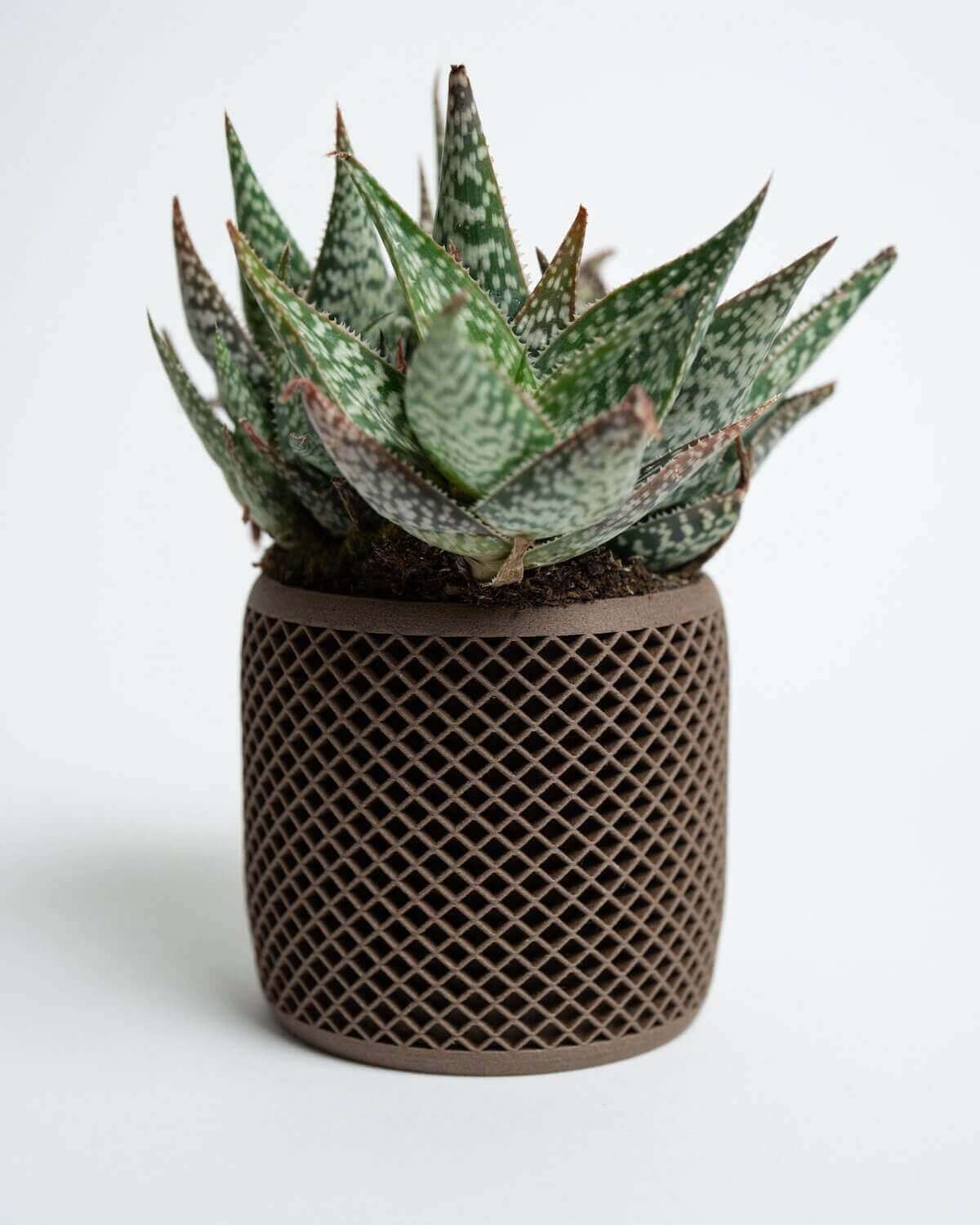 Modern planters | Unique Planters | Decor Planters from Woodland Pulse. Succulent pot with a green cactus inside.