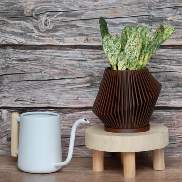 modern watering can, wood plant stool and pot.