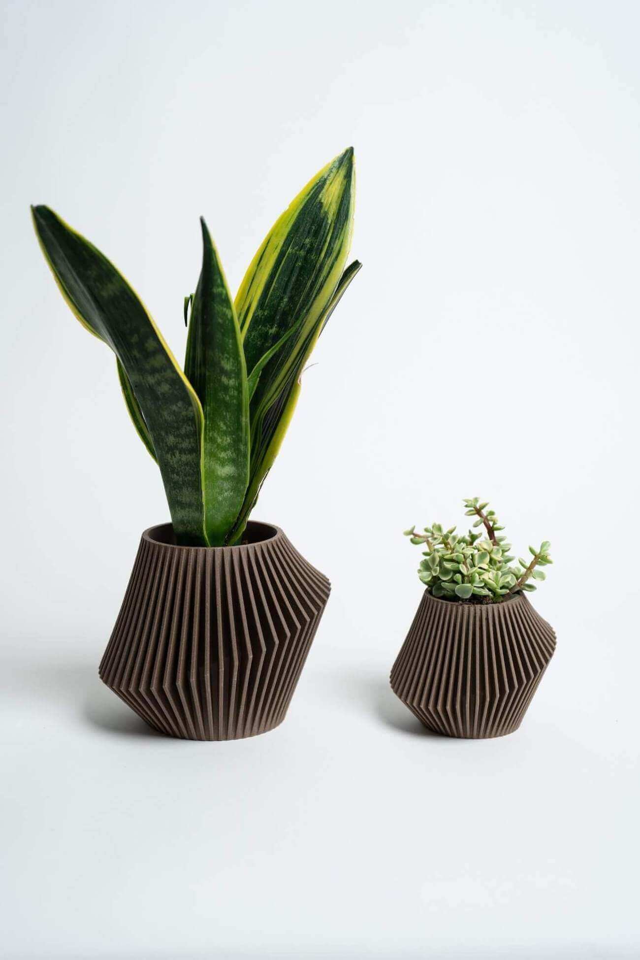 Two pots for planting succulents by Woodland Pulse. These are two brown decor planters from the W. Planter collection.