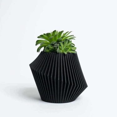 Unique Black Flower Pot | Black Indoor Planter by Woodland Pulse. A black modern planter with a succulent inside.