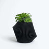 Unique Black Flower Pot | Black Indoor Planter by Woodland Pulse. A black modern planter with a succulent inside.