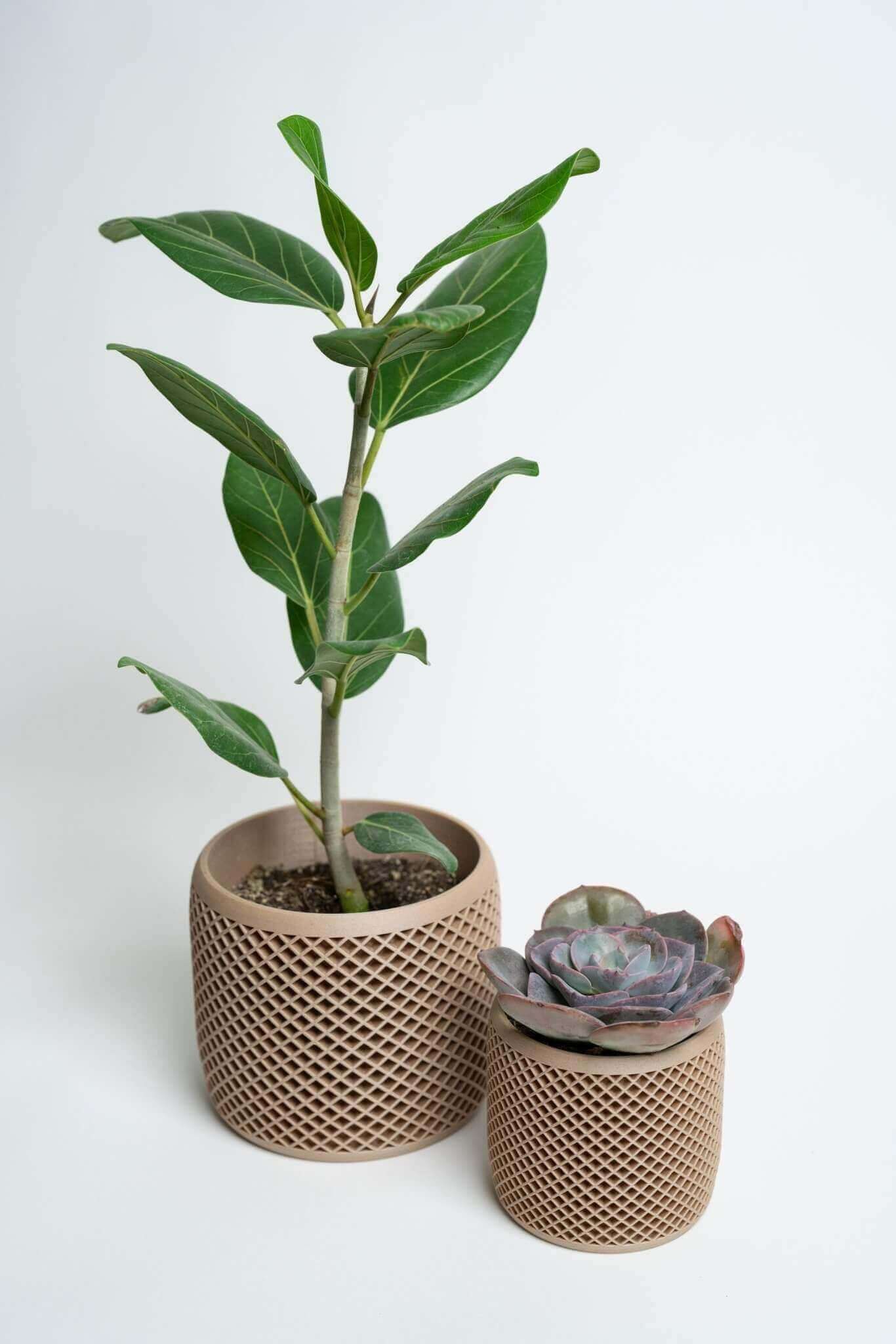 Set of 3 Small Geometric Indoor Plant Pots Original Planter Gift