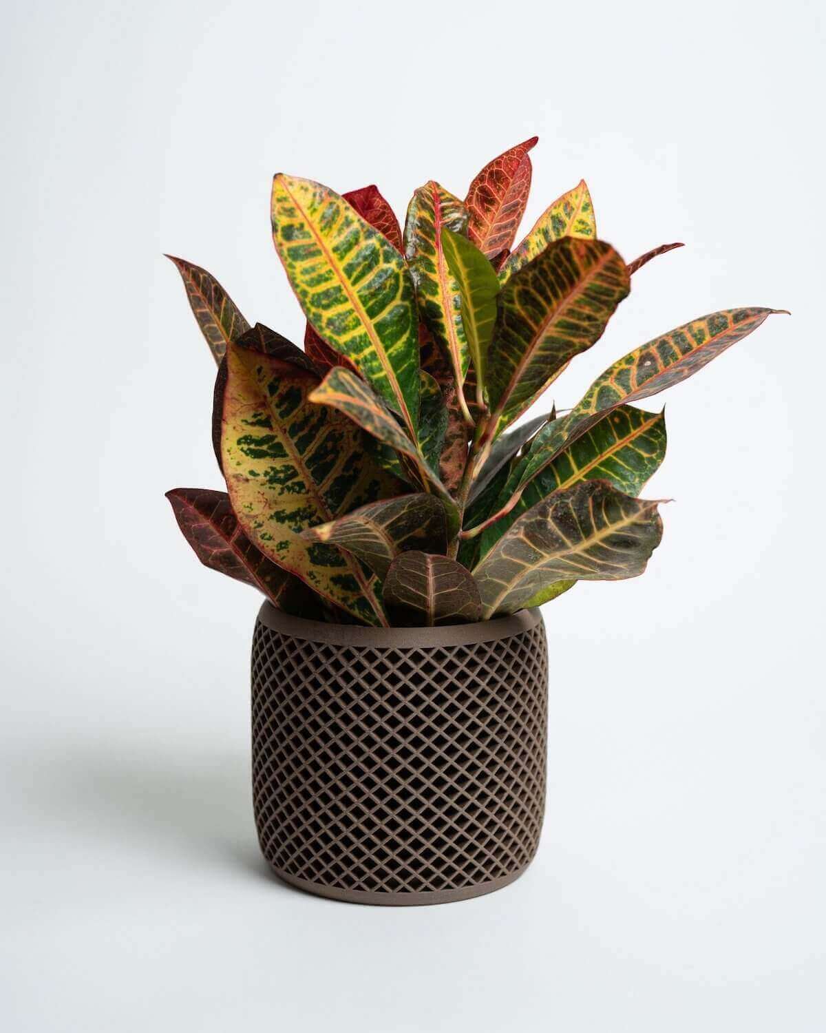 Unique Planters | Modern planters | Decor Planters from Woodland Pulse. A brown geometric planter with a very colorful plant.