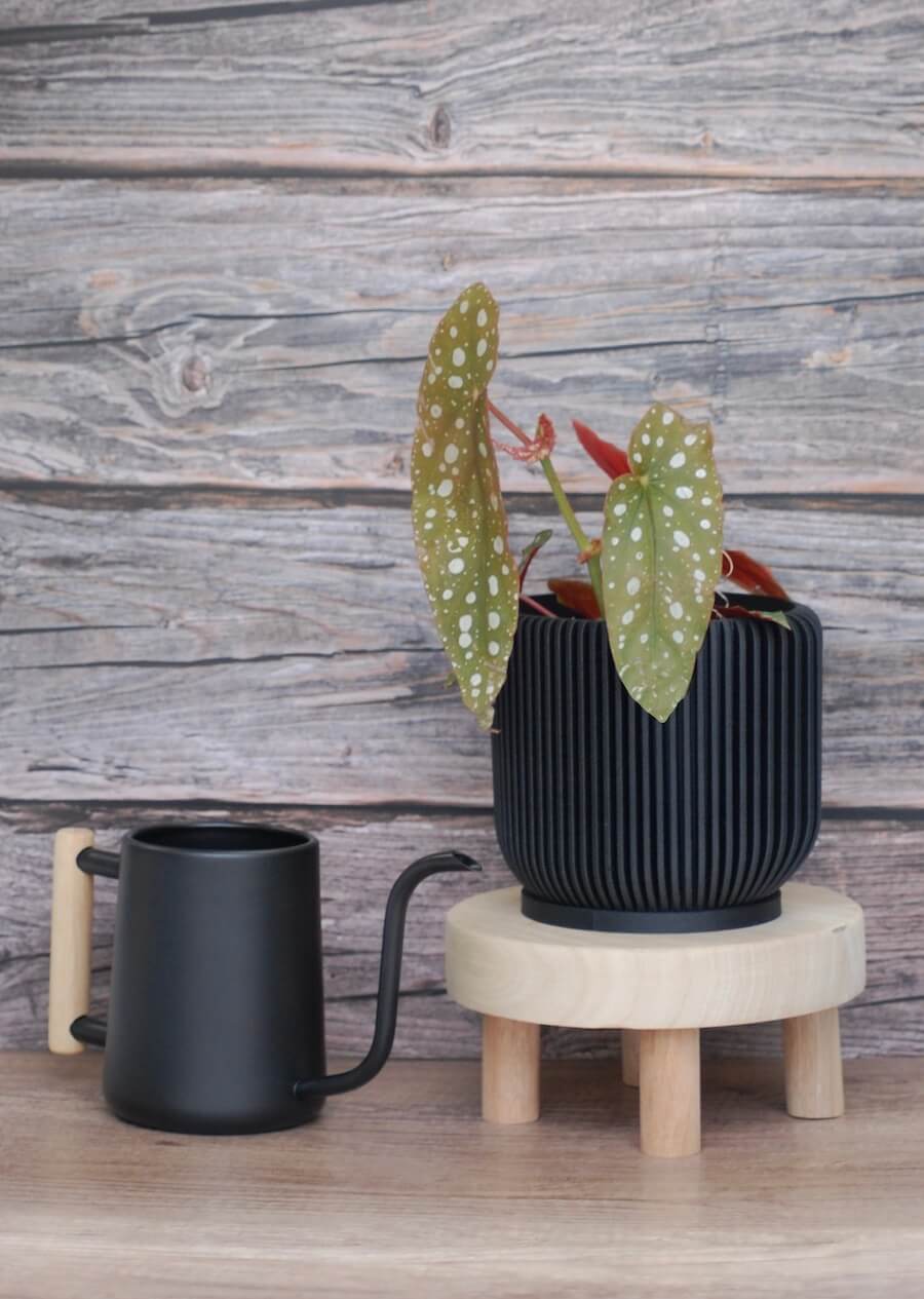 Black modern watering can and pot.