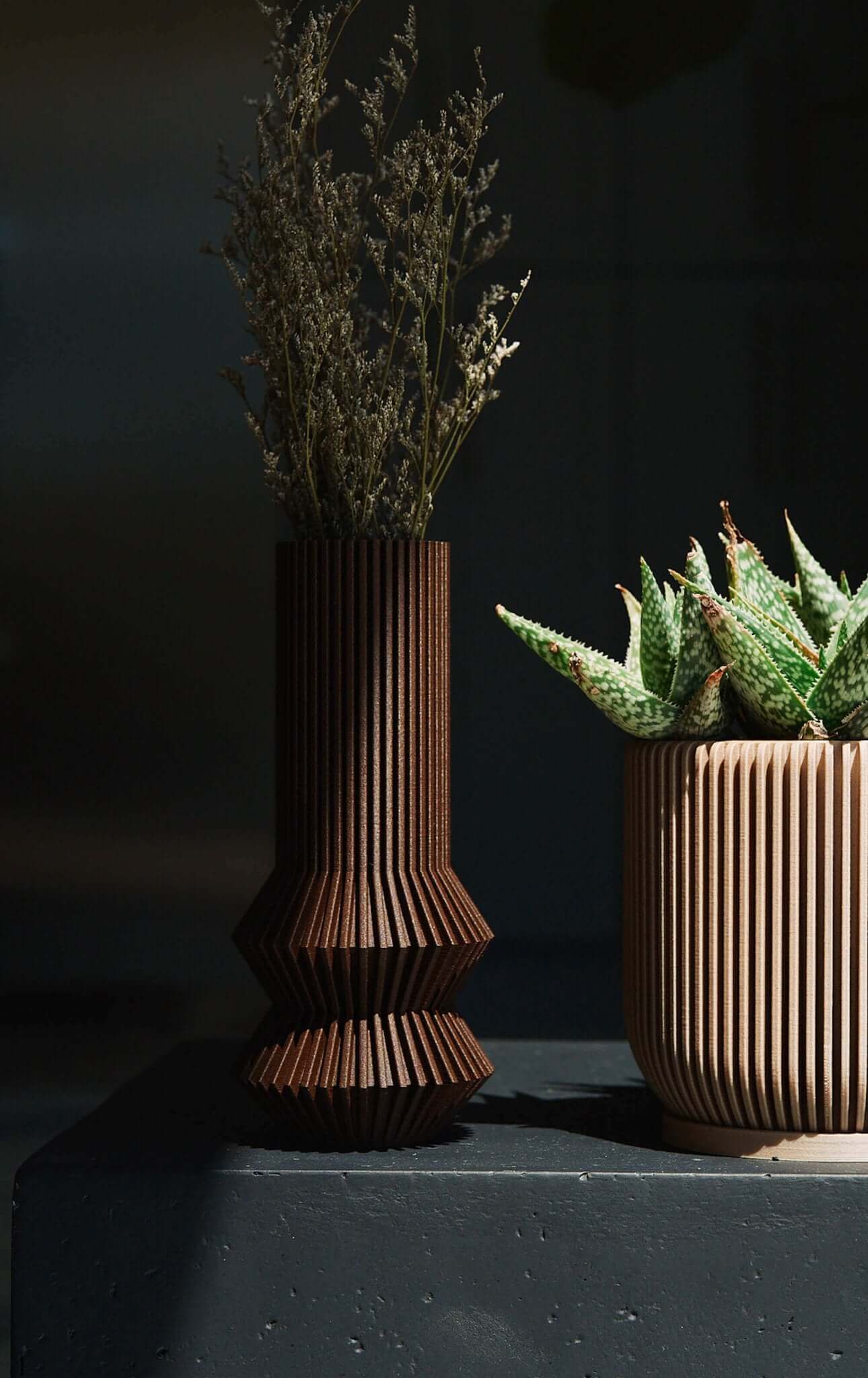 It is a brown vase with dried grass and beige succulent planter IONIC.