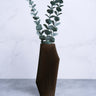 Brown abstract Vase with eucalyptus.
