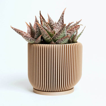 A beige planter by Woodland Pulse. This is a wood flower pot with a potted cactus.