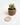 A wooden succulent planter by Woodland Pulse. This is a beige plant pot.