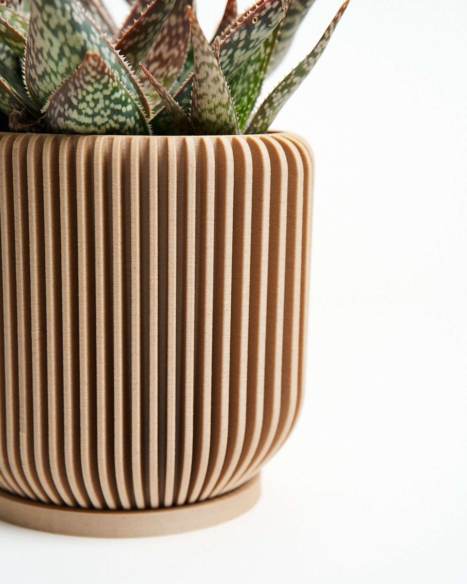 A beige planter pot. This is one of Woodland Pulse's wooden indoor plant pots.