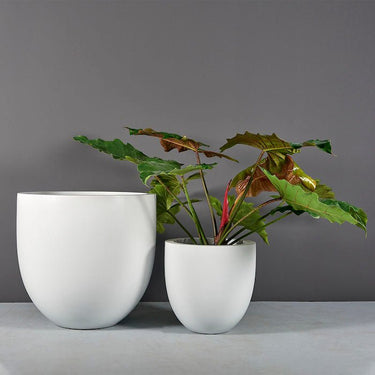 White large round planters with plants.