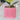 Geometric planter in pink.