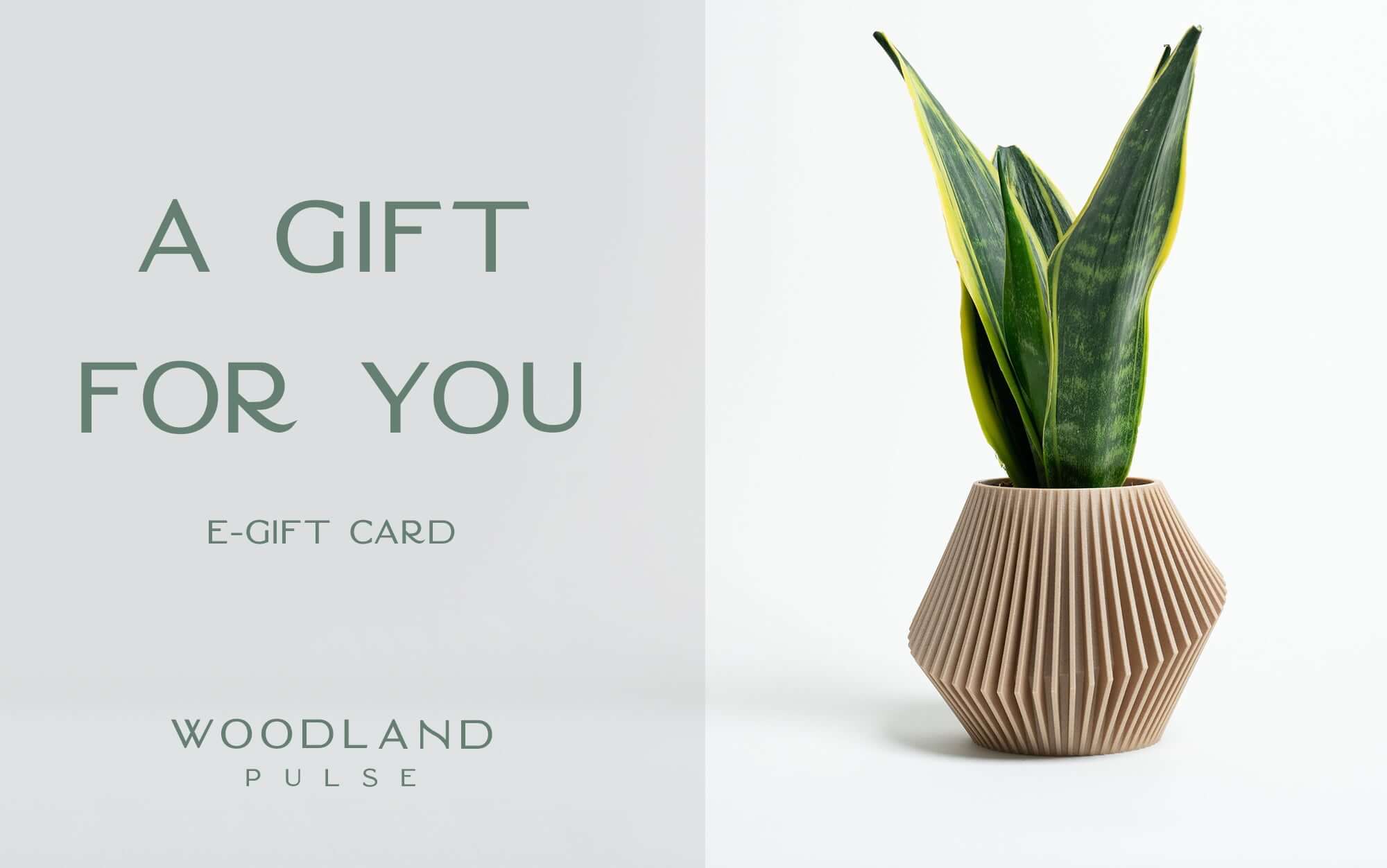 Woodland Pulse E-Gift Card - Give the Gift of Sustainable Style Woodland Pulse Modern Planters Unique planters Modern Vases Unique Vases Modern Planter Unique planter